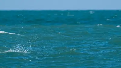 Mondial du Vent : wingfoil, windsurf et parawing enflamment Leucate