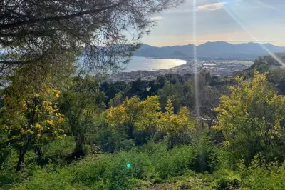 Météo des Alpes-Maritimes : un jeudi ensoleillé avec des températures douces
