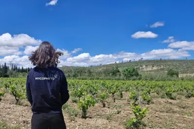 Mycophyto ouvre une filiale au Maroc : une étape clé pour la biotech grassoise