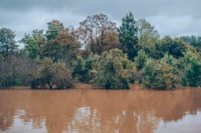 Nappes phréatiques : niveaux satisfaisants en avril, mais l'été reste incertain