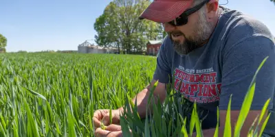 Notre alimentation reste dépendante des énergies fossiles malgré les crises