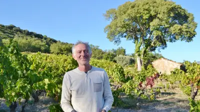 Olivier Jullien, pionnier du Languedoc : « Planter des arbres plutôt qu'arroser les vignes »