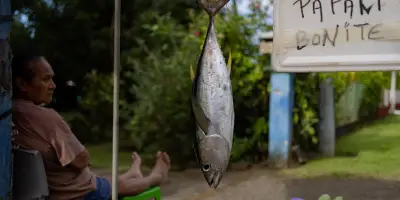 Outre-mer : une reprise économique fragile en 2025 face au coût de la vie élevé