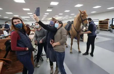 Peyo, le cheval qui détecte les cancers, visite Antarès à Saintes