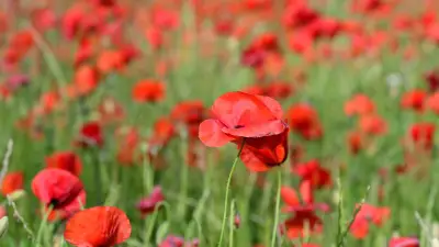 Pâques 2026 : Un week-end exceptionnel sous le soleil et la douceur printanière