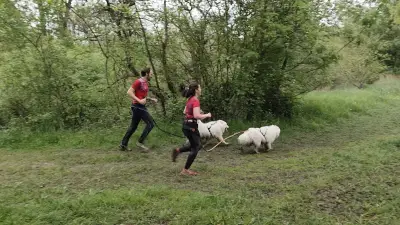Première édition du Cani-Moron : un succès boueux pour les canicrosseurs girondins