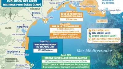 Protection de la Méditerranée : les défis des aires marines en Occitanie