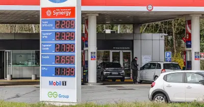 Pétrole : la trêve en Iran fait plonger les cours, les prix à la pompe pourraient baisser rapidement