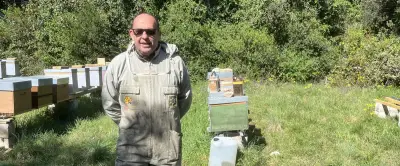 Renald Beaurain, apiculteur à Saint-Alexandre : un métier de passion et de sauvegarde des abeilles