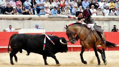 Retour de la corrida à Beaucaire : un cartel inédit le 25 juillet