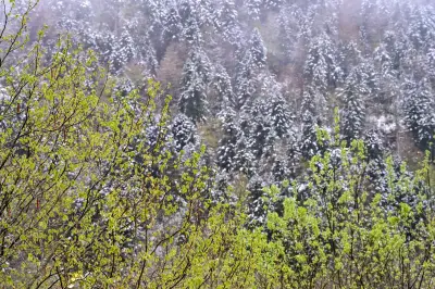 Retour de l'hiver dans les Pyrénées : neige abondante et risque d'avalanches accru