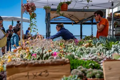 Roquebrune célèbre le printemps avec sa 5e Fête des jardins ce dimanche