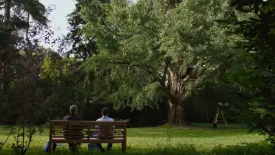 « Silent Friend » : le ginkgo biloba, un arbre qui unit trois époques dans un film contemplatif