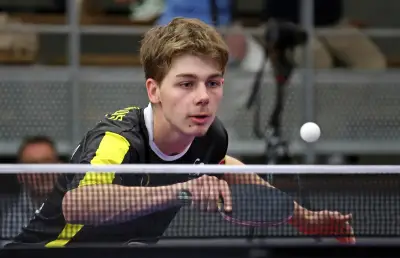 Stade Montois : Un déplacement sans pression à Angoulême pour un match de transition