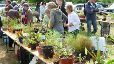 Troc aux plantes et vide-greniers à Courbessac le 3 mai