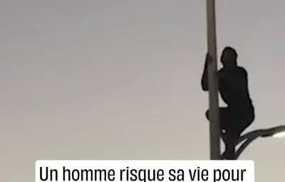 Un héros mexicain sauve une mouette en risquant sa vie au sommet d'un lampadaire