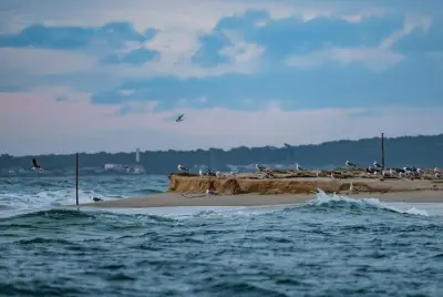 Un livre unique : 365 histoires et aquarelles pour découvrir le bassin d'Arcachon