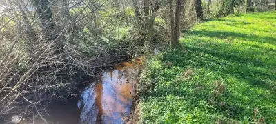 Une immersion naturelle pour découvrir les zones humides du Médoc le 7 avril