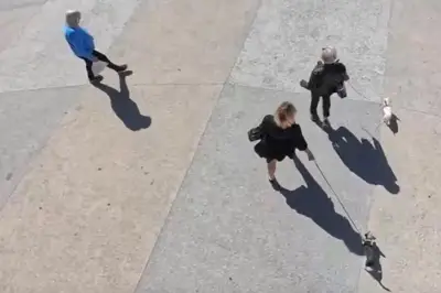 Vence teste des drones et de l'IA pour lutter contre les déjections canines