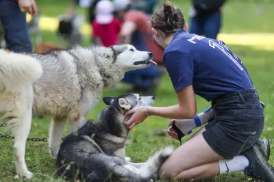 Vianne célèbre le sport et le bien-être canin avec Toutouyoutwo les 18 et 19 avril