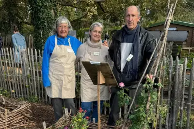 Vide-jardin à Arès : échange et vente de plantes le 26 avril
