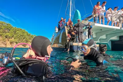 Violences sexistes en plongée : un atelier à Toulon lève le voile sur un tabou