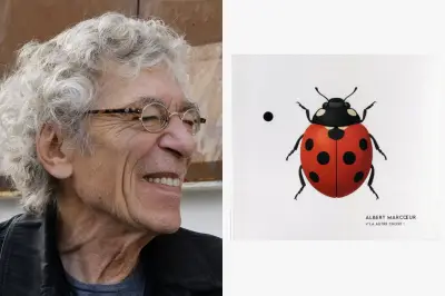 « Vla autre chose » d'Albert Marcoeur : un album génial de bout en boucles