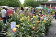 19e Floralies de Saint-André-de-Cubzac : rendez-vous floral le 1er mai