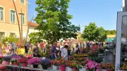 28es Floralies : une édition ensoleillée et très fréquentée