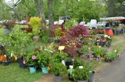 29e Floralias à Bizanos : jardinage, ateliers et musique au château de Franqueville