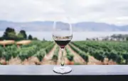 3 vins rouges de Bordeaux à moins de 10 euros sur Cdiscount