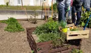 48h de l'agriculture urbaine : ateliers jardinage et cuisine sauvage à Bidart