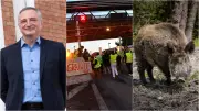 70 millions pour SLB, sanglier interdit, Gilets jaunes au tribunal