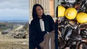 A69 suspendu, avocate suspendue, moules menacées : l'actu région