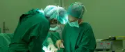 Ablation de la rate : le chirurgien enlève un rein par erreur, elle poursuit l'hôpital