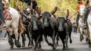 Abrivado printanière à Nîmes : un spectacle familial sous un ciel menaçant
