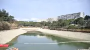 Alerte aux cyanobactéries : baignade interdite au lac des Garrigues à Montpellier