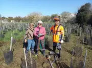 À Angoulins, la microforêt communautaire prend racine
