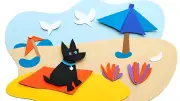 Animaux et coups de soleil : faut-il les tondre ?