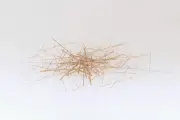 Antibes Art Fair : Régis Lesserteur expose ses sculptures en bambou graphiques et délicates