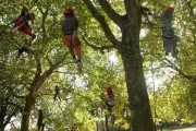 Arbre en fête à Saintes : une journée dédiée à la nature et au paysage