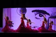 Arte Flamenco 2026 : Le festival explore la profondeur du 'jondo' en hommage à Lorca