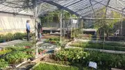 Ateliers jardinage gratuits aux B’io Serres de Lou Farayo