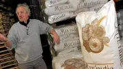 Aude : le blé dur moulu révolutionne la baguette de pain