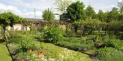 Balade à Milly-la-Forêt : du Cyclop au Conservatoire des plantes