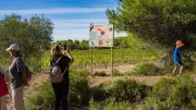 Balade nature guidée avec la LPO à Montagnac le 29 avril