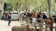 Beaucaire célèbre son agriculture et son terroir lors d'un week-end festif