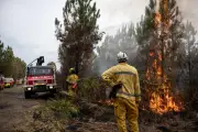 Bilan 2025 des incendies dans les Landes : 115 feux de forêt, 78 hectares brûlés