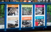 Boîtes de conserve : faut-il retirer l'étiquette avant de recycler ? La réponse