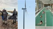 Camargue, éolien, thermalisme : l'actu régionale en bref